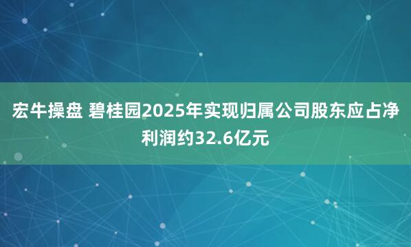 宏牛操盘 碧桂园2025年实现归属公司股东应占净利润约32.6亿元