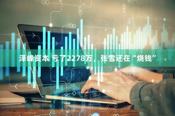 泽峰资本 亏了2278万，张雪还在“烧钱”