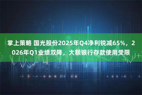 掌上策略 国光股份2025年Q4净利锐减65%，2026年Q1业绩双降，大额银行存款使用受限