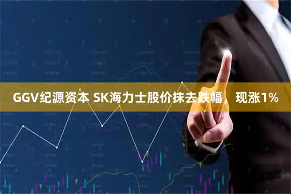 GGV纪源资本 SK海力士股价抹去跌幅，现涨1%