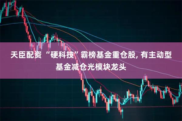 天臣配资 “硬科技”霸榜基金重仓股, 有主动型基金减仓光模块龙头