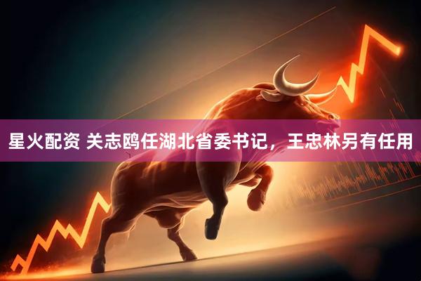 星火配资 关志鸥任湖北省委书记，王忠林另有任用