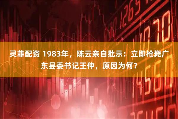 灵菲配资 1983年，陈云亲自批示：立即枪毙广东县委书记王仲，原因为何？
