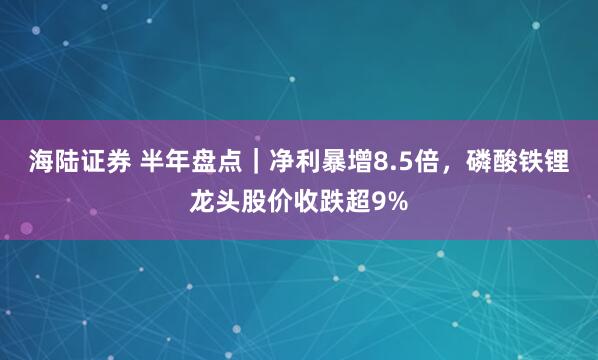 海陆证券 半年盘点｜净利暴增8.5倍，磷酸铁锂龙头股价收跌超9%